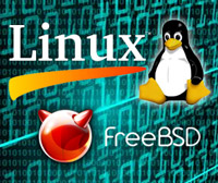 Courses Linux (Ubuntu)/FreeBSD. Уровень 3. Обеспечение безопасности систем, сервисов и сетей logo